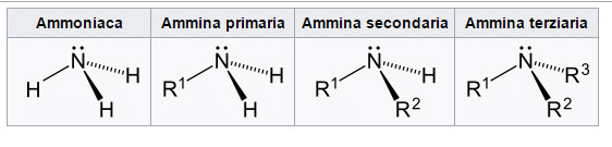 ammine aromatiche - Ammine Aromatiche