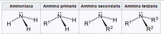 Ammine Aromatiche ammine aromatiche - Ammine Aromatiche
